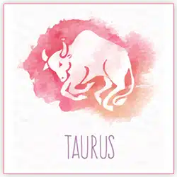 Sun Transit Effects Taurus