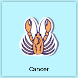 Venus Transit Taurus Effect On Cancer