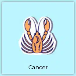 Venus Transit Taurus Effect On Cancer