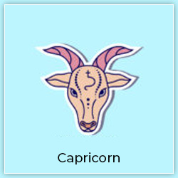 Venus Transit Taurus Effect On Capricorn