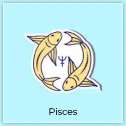 Venus Transit Taurus Effect On Pisces