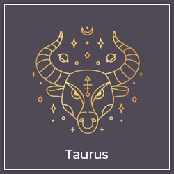 Mars Transit Taurus Effect Taurus