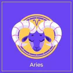Sun Transit Leo Effect Aries 