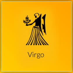 Venus Transit Leo Effect Virgo