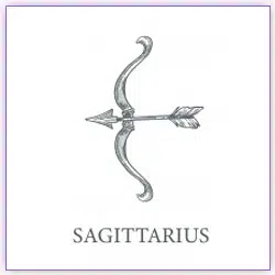 Effects Of Sun Transit Sagittarius