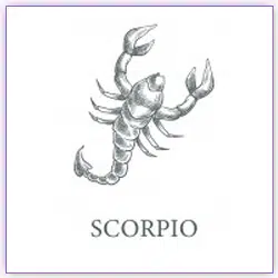 Effects Of Sun Transit Scorpio