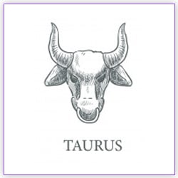 Effects Of Sun Transit Taurus