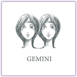 Mercury Transit Capricorn 28 December 2022 Effect Gemini
