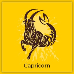 Sun Transit Sagittarius 16 December 2022 Effects Capricorn