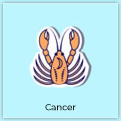 Venus Transit Capricorn 29 December 2022 Effect Cancer