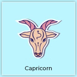 Venus Transit Capricorn 29 December 2022 Effect Capricorn