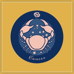 Venus Transit Sagittarius 5 December 2022 Effect Cancer