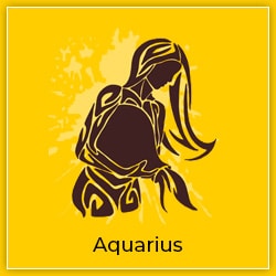 Sun Transit Aquarius 13 February 2023-Effect-Aquarius