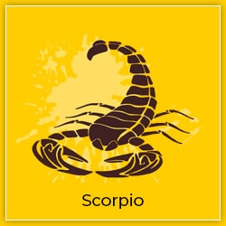 Sun Transit Aquarius 13 February 2023-Effect-Scorpio
