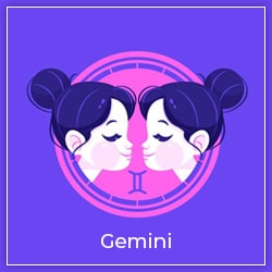 Venus Transit Aquarius 22 January 2023 Effect Gemini