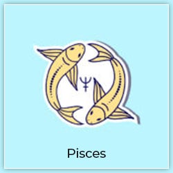 Sun Transit Pisces 15 March 2023 Effects Pisces