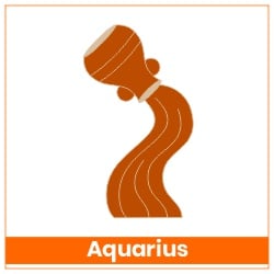 Sun Transit Gemini On 15 June 2023 Effects Aquarius