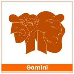 Sun Transit Gemini On 15 June 2023 Effects Gemini