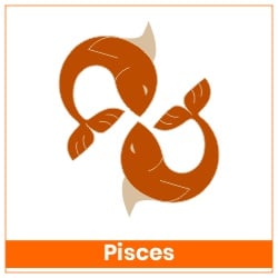 Sun Transit Gemini On 15 June 2023 Effects Pisces