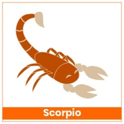 Sun Transit Gemini On 15 June 2023 Effects Scorpio