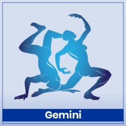 Sun Transit In Taurus On 15 May 2023 Effects Gemini