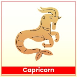 Sun Transit Cancer On 17 July 2023 Effects Capricorn Moon Sign