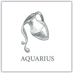 Sun Transit In Libra On 18 October 2023 Effects Aquarius