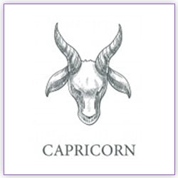 Sun Transit In Libra On 18 October 2023 Effects Capricorn