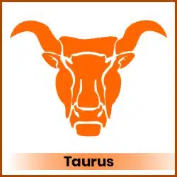 Jupiter Transit 14 May 2025 Impact On Taurus