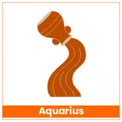 Rahu-Ketu Transit 18 May 2025 Effects Aquarius