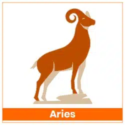 Rahu-Ketu Transit 18 May 2025 Effects Aries