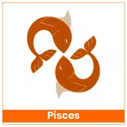 Rahu-Ketu Transit 18 May 2025 Effects Pisces