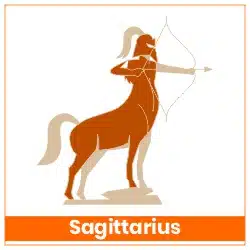Rahu-Ketu Transit 18 May 2025 Effects Sagittarius