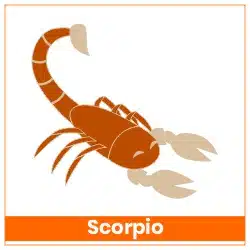 Rahu-Ketu Transit 18 May 2025 Effects Scorpio