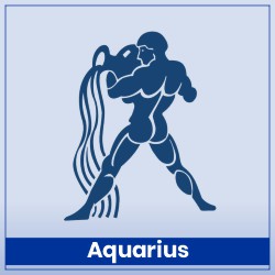 Aquarius Adapts to Changing Dynamics Through Venus Transit in Leo