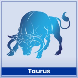 Taurus Experiences Warmth and Personal Growth with Venus in Leo